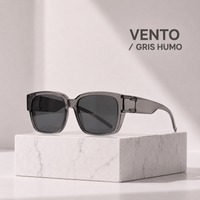 vento-gris-humo-1